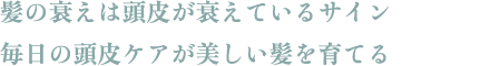 髪の衰えは頭皮が衰えているサイン 毎日の頭皮ケアが美しい髪を育てる