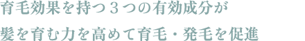 育毛効果を持つ３つの有効成分が髪を育む力を高めて育毛・発毛を促進