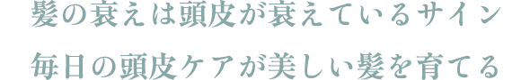 髪の衰えは頭皮が衰えているサイン 毎日の頭皮ケアが美しい髪を育てる