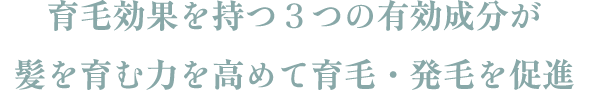 育毛効果を持つ３つの有効成分が髪を育む力を高めて育毛・発毛を促進