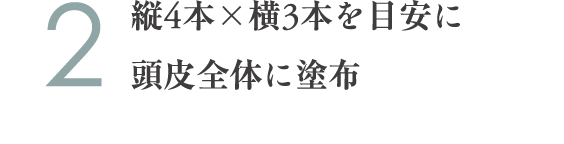 2.縦4本×横3本を目安に頭皮全体に塗布