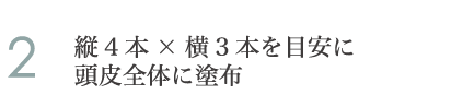 2.縦4本×横3本を目安に頭皮全体に塗布