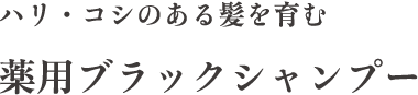 ハリ・コシのある髪を育む 薬用ブラックシャンプー