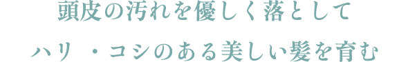 頭皮の汚れを優しく落としてハリ・コシのある美しい髪を育む