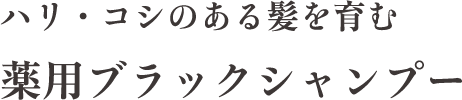 ハリ・コシのある髪を育む 薬用ブラックシャンプー