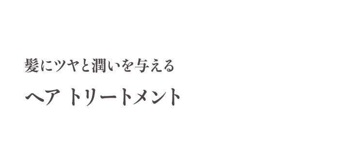 ヘアトリートメント