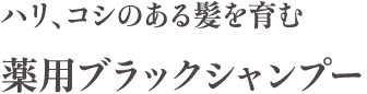 ハリ・コシのある髪をはぐくむ 薬用ブラックシャンプー