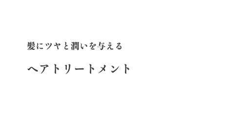 ヘアトリートメント