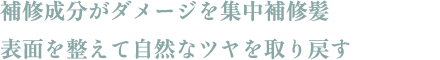 補修成分がダメージを集中補修髪 表面を整えて自然なツヤを取り戻す