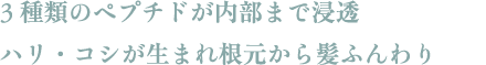 3種類のペプチドが内部まで浸透 ハリ・コシが生まれ根元から髪ふんわり