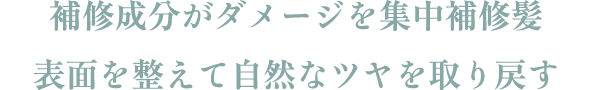 補修成分がダメージを集中補修髪 表面を整えて自然なツヤを取り戻す