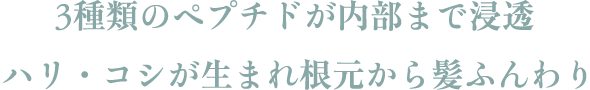 3種類のペプチドが内部まで浸透 ハリ・コシが生まれ根元から髪ふんわり