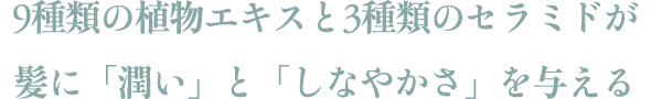 9種類の植物エキスと3種類のセラミドが
髪に「潤い」と「しなやかさ」を与える