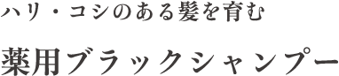 ハリ・コシのある髪をはぐくむ 薬用ブラックシャンプー