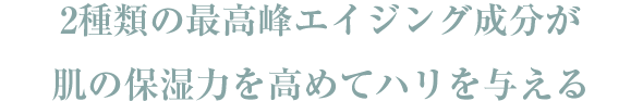 2種類の最高峰エイジング成分が肌の保湿力を高めてハリを与える