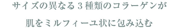 サイズの異なる3種類のコラーゲンが肌をミルフィーユ状に包み込む