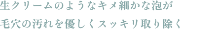生クリームのようなキメ細かな泡が毛穴の汚れを優しくスッキリ取り除く