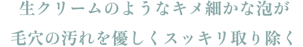 生クリームのようなキメ細かな泡が毛穴の汚れを優しくスッキリ取り除く