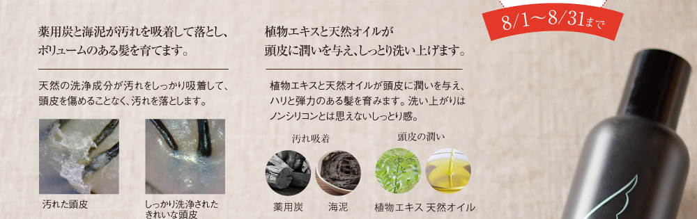 今なら15%OFFでお得！8月1日から8月31日まで しかも送料無料