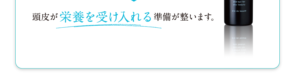 頭皮が栄養を受け入れる準備が整います。