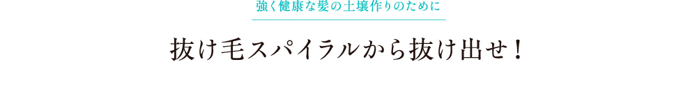 強く健康な髪の土壌作りのために 抜け毛スパイラルから抜け出せ！