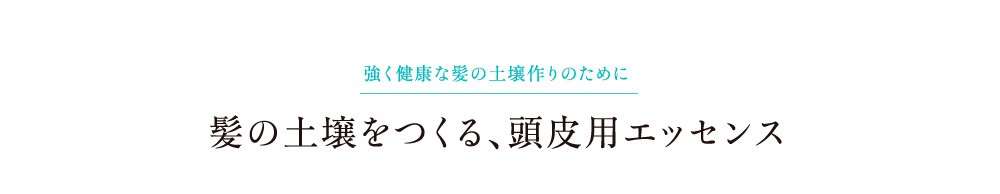 強く健康な髪の土壌づくりのために 髪の土壌をつくる、頭皮用エッセンス