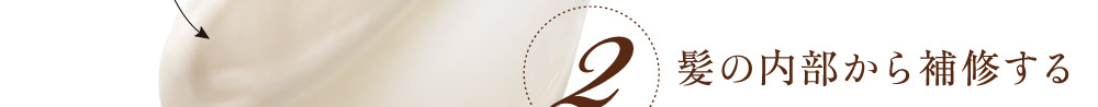 2.髪の内部から補修する