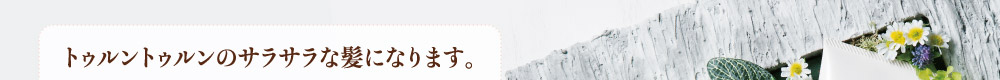 トゥルントゥルンのサラサラな髪になります。