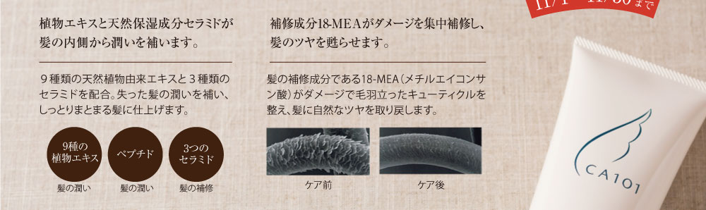 今なら15%OFF 期間限定11月1日から11月30日まで しかも送料無料