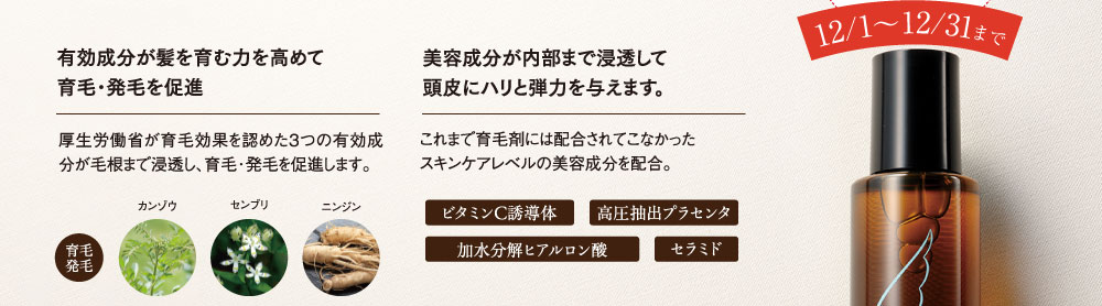 今なら2個購入で2640円もお得！12月1日から12月31日まで