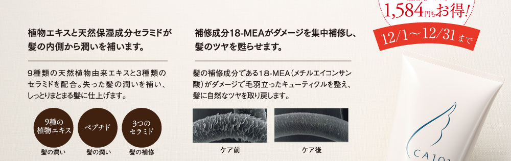 今なら2個購入でチューブタイプが924円もお得！詰替用パウチは1485円もお得！12月1日から12月31日まで