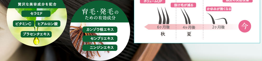 エイジング成分贅沢な美容成分を配合 育毛・発毛のための有効成分