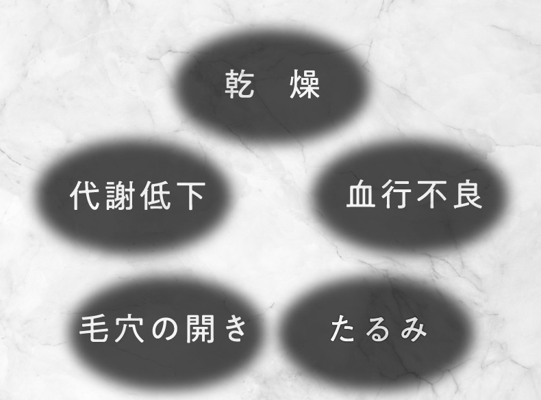 乾燥 代謝低下 血行不良 毛穴の開き たるみ