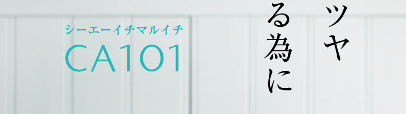 シーエーイチマルイチ_CA101