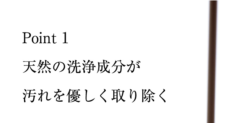 Point 1 天然の洗浄成分が汚れを優しく取り除く