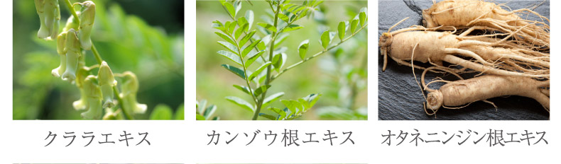 クララエキス カンゾウ根エキス オタネニンジン根エキス