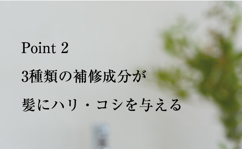 Point 2 3種類の補修成分が 髪にハリ・コシを与える