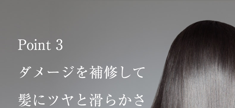 Point 3 ダメージを補修して髪にツヤと滑らかさ