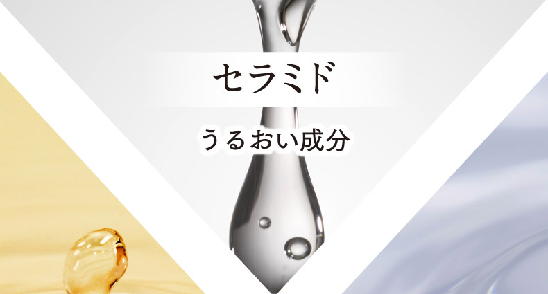 セラミド うるおい成分