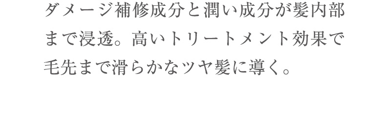ダメージ補修成分と潤い成分が髪内部まで浸透。高いトリートメント効果で毛先まで滑らかなツヤ髪に導く。